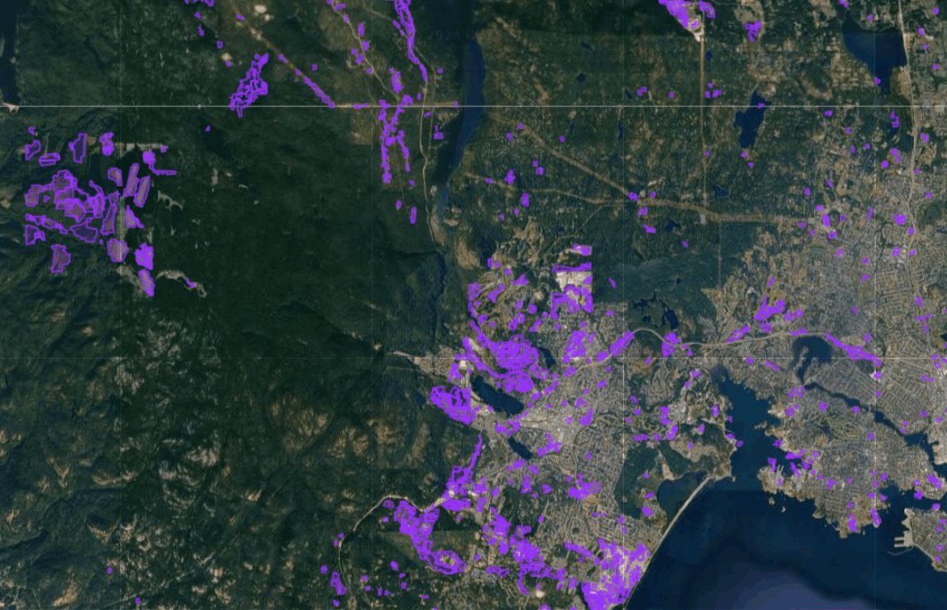 Interactive Map